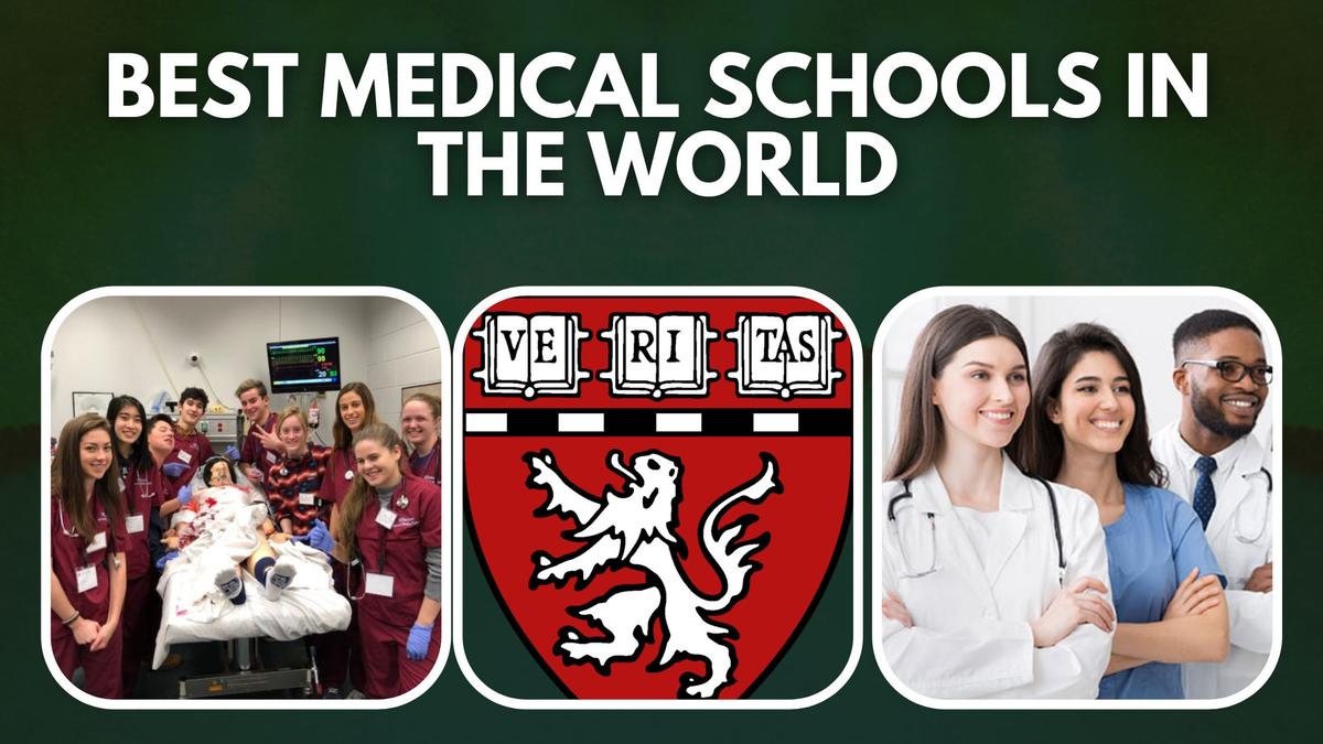Cover Image for 10 Best Medical Schools For International Students