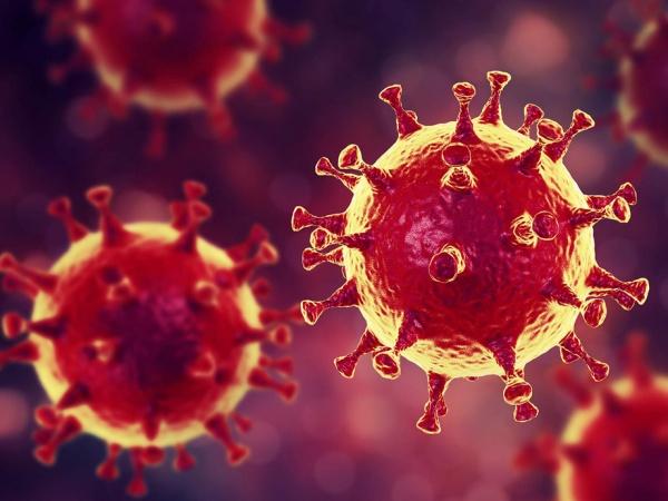 Coronavirus: schools shutting down to prevent spread of the virus featured image